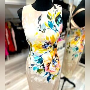 NWT Karen Millen dress Size 6